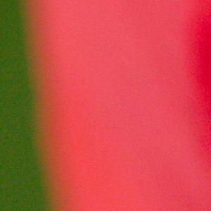 M-N Caron ''Poudré d'or''